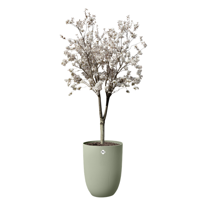 sereh high 40cm verde escandinavo